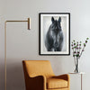 Bear – Print